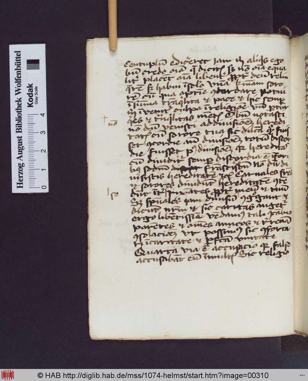 http://diglib.hab.de/mss/1074-helmst/00310.jpg