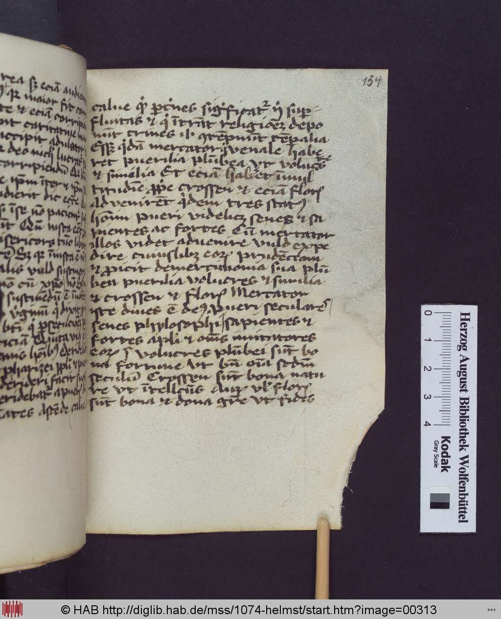 http://diglib.hab.de/mss/1074-helmst/00313.jpg