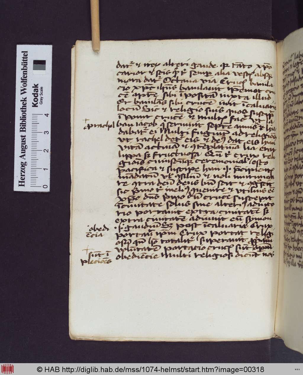 http://diglib.hab.de/mss/1074-helmst/00318.jpg