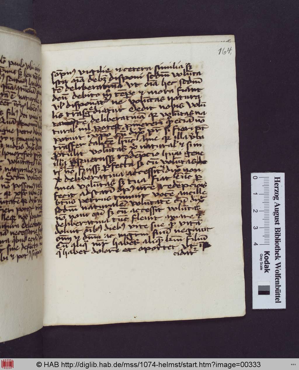 http://diglib.hab.de/mss/1074-helmst/00333.jpg