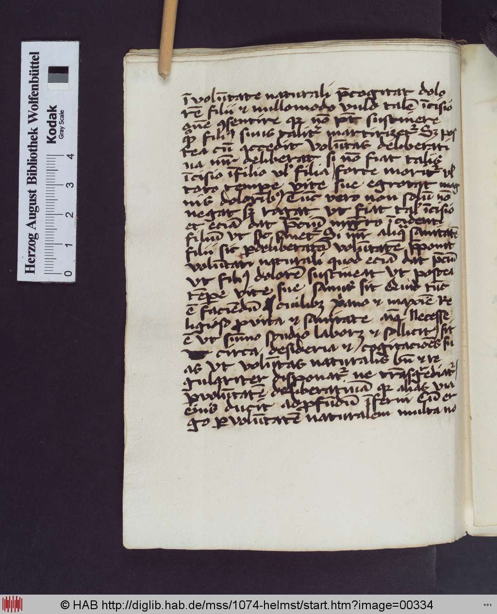 http://diglib.hab.de/mss/1074-helmst/00334.jpg