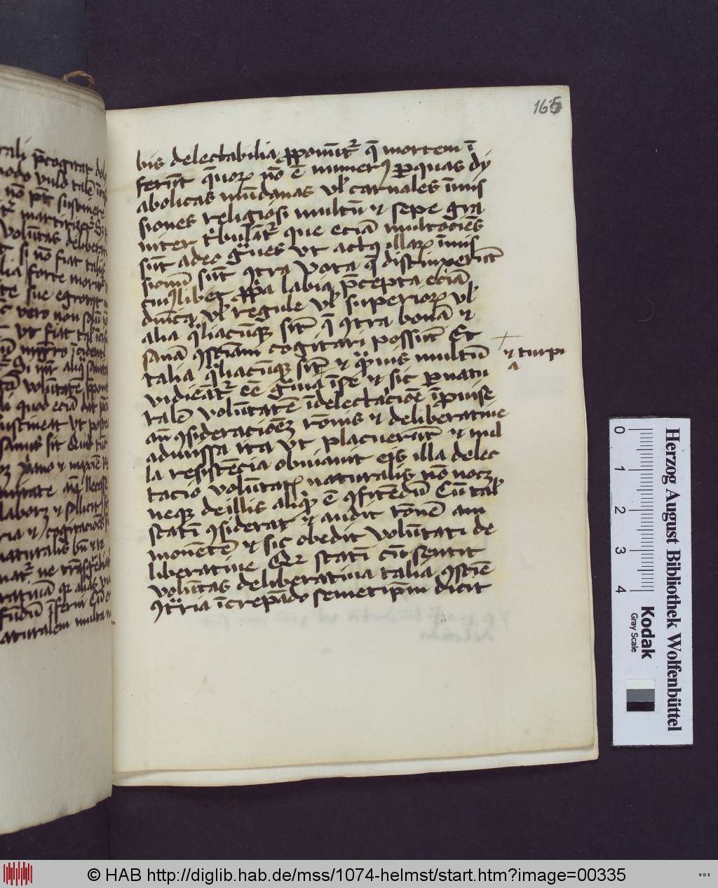 http://diglib.hab.de/mss/1074-helmst/00335.jpg