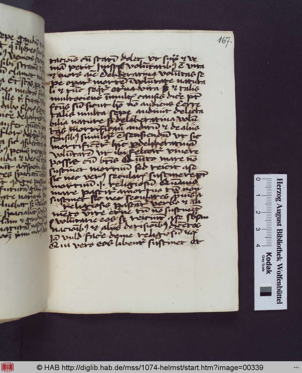 http://diglib.hab.de/mss/1074-helmst/00339.jpg