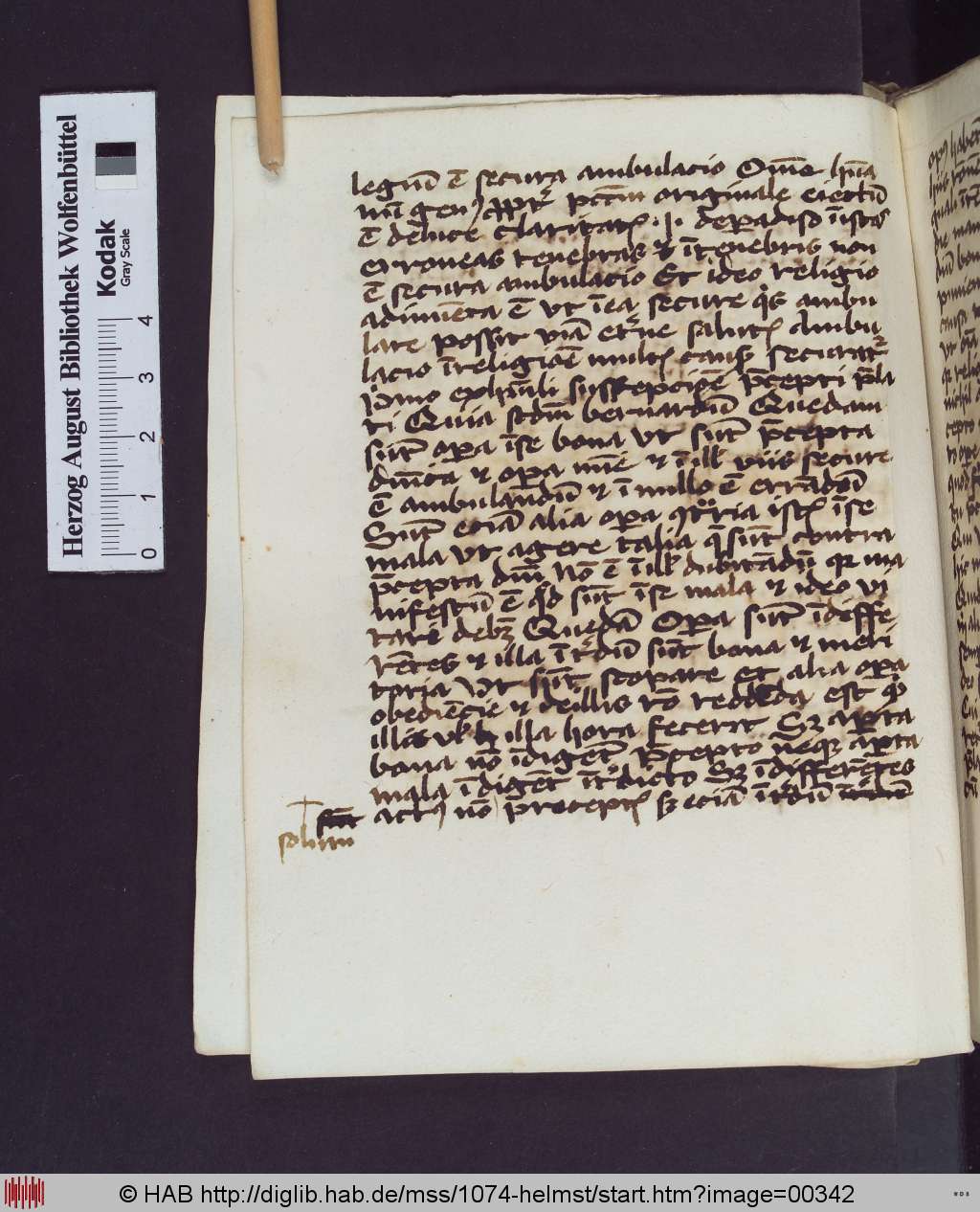 http://diglib.hab.de/mss/1074-helmst/00342.jpg