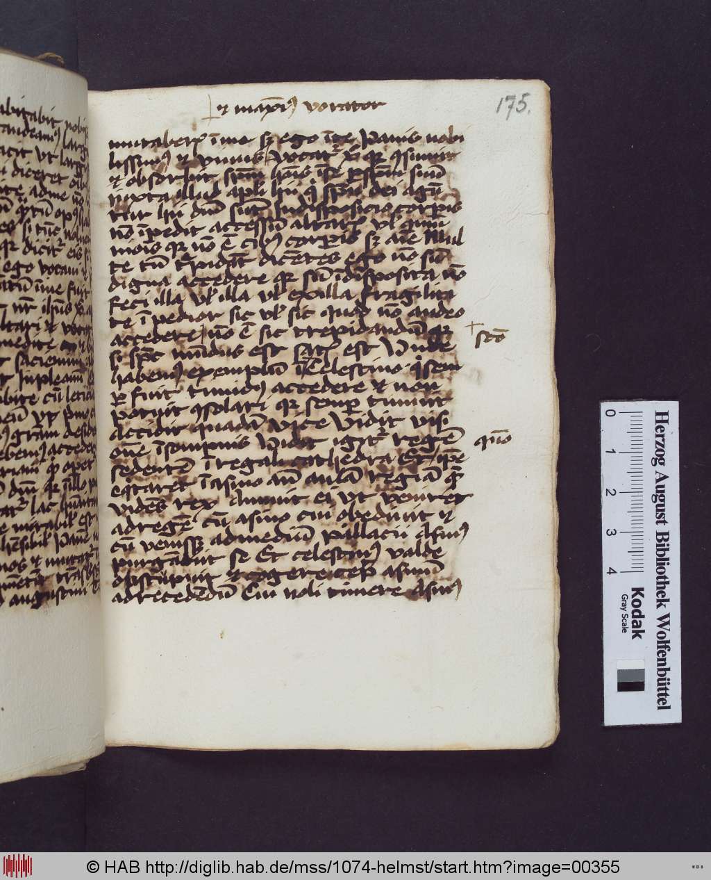 http://diglib.hab.de/mss/1074-helmst/00355.jpg