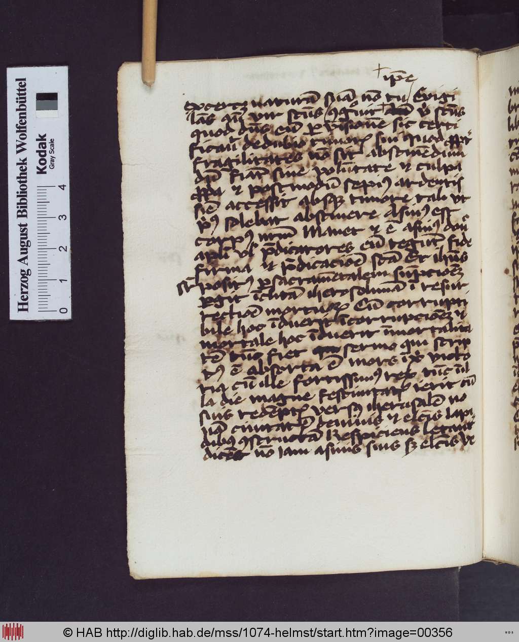 http://diglib.hab.de/mss/1074-helmst/00356.jpg
