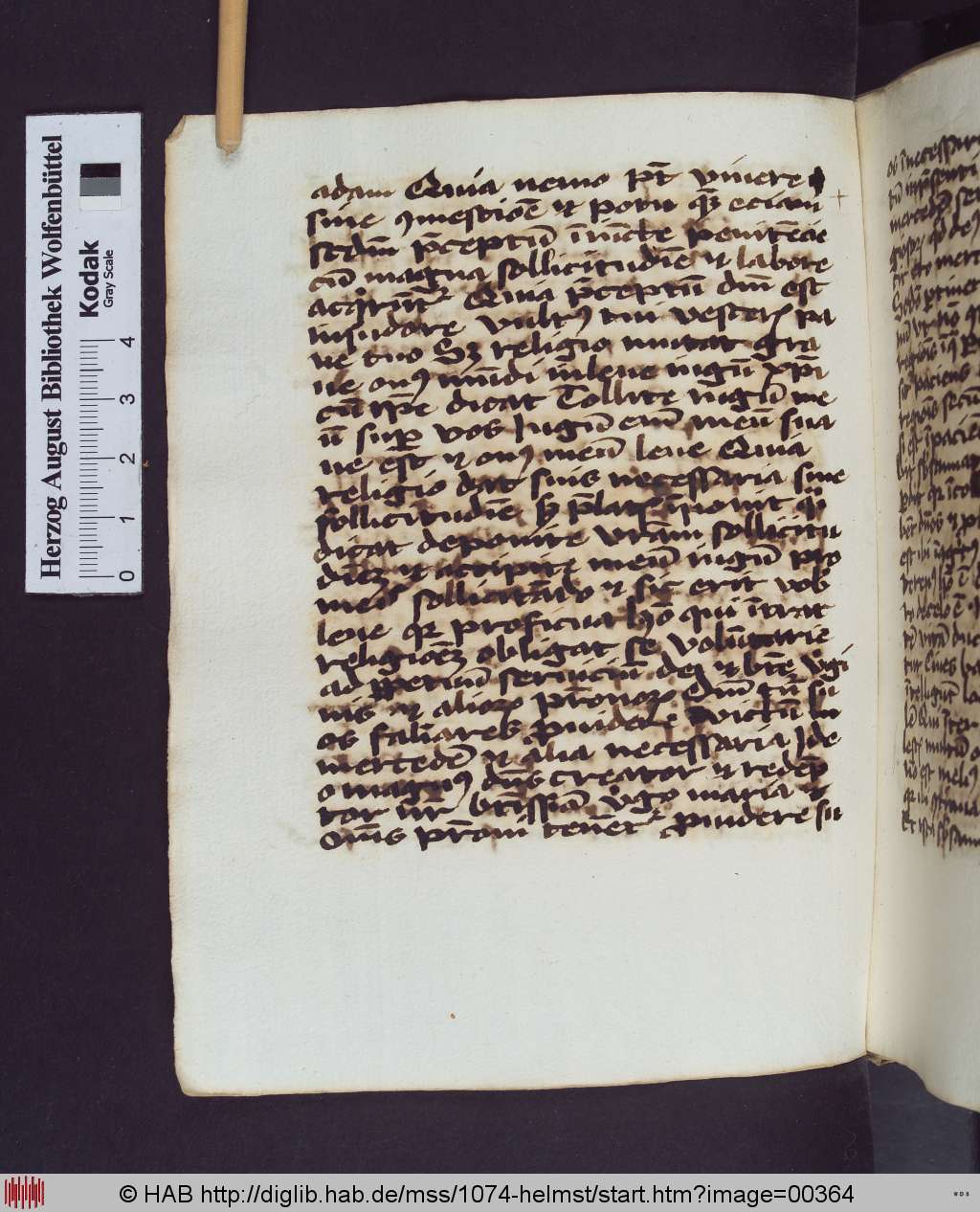 http://diglib.hab.de/mss/1074-helmst/00364.jpg