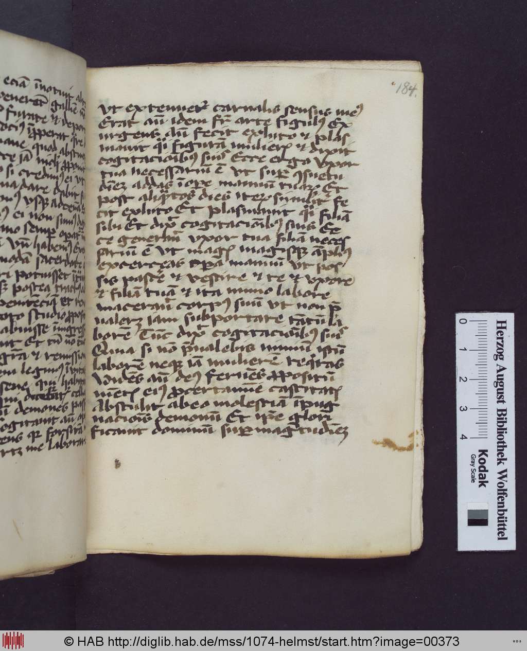 http://diglib.hab.de/mss/1074-helmst/00373.jpg