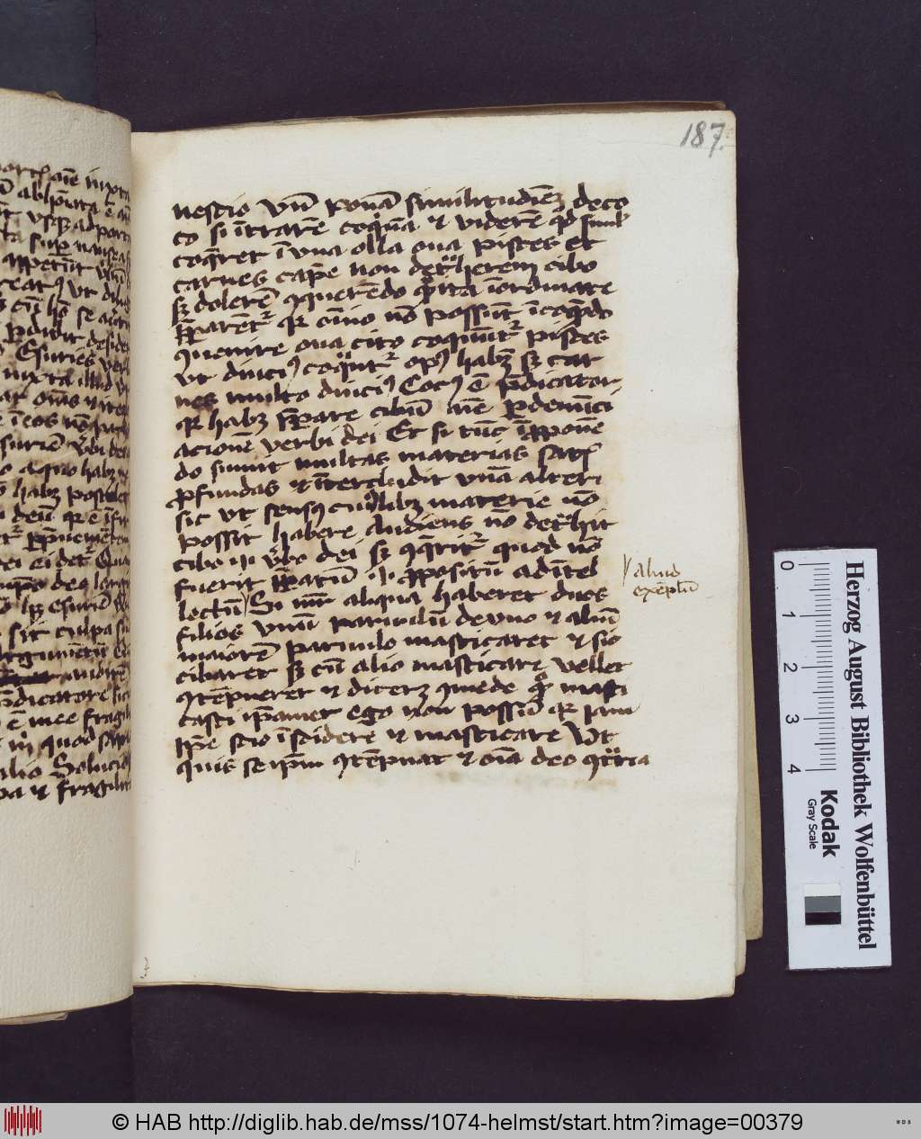 http://diglib.hab.de/mss/1074-helmst/00379.jpg