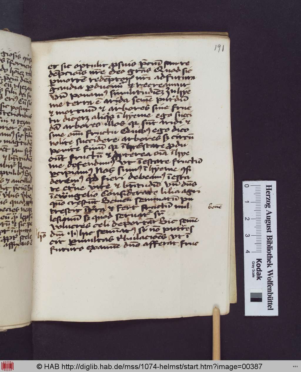 http://diglib.hab.de/mss/1074-helmst/00387.jpg
