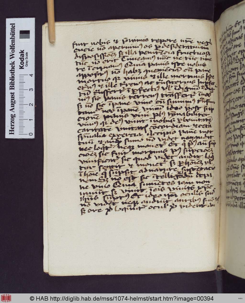 http://diglib.hab.de/mss/1074-helmst/00394.jpg