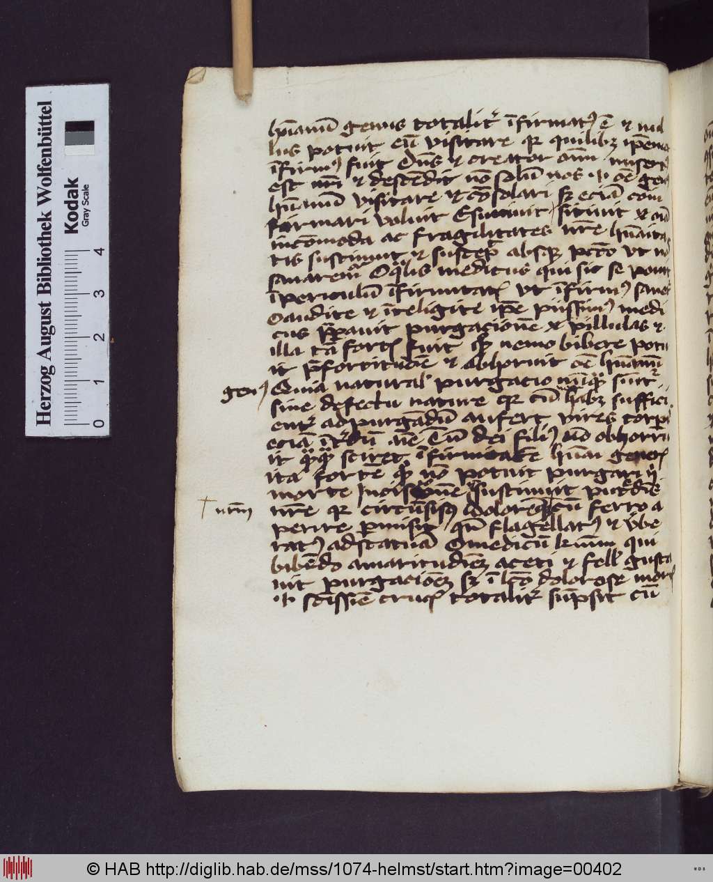 http://diglib.hab.de/mss/1074-helmst/00402.jpg
