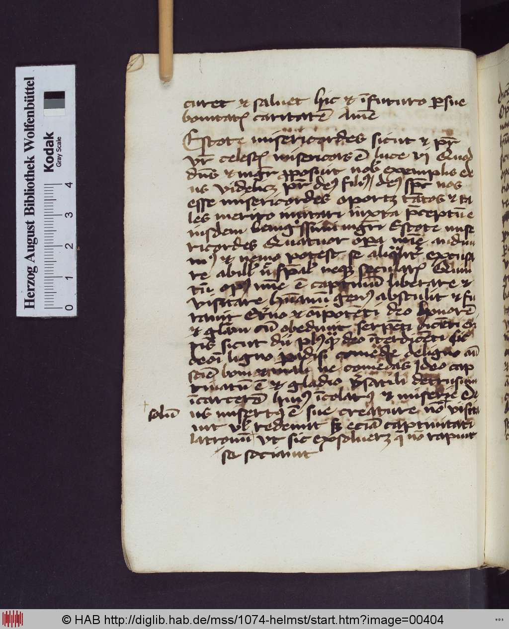 http://diglib.hab.de/mss/1074-helmst/00404.jpg