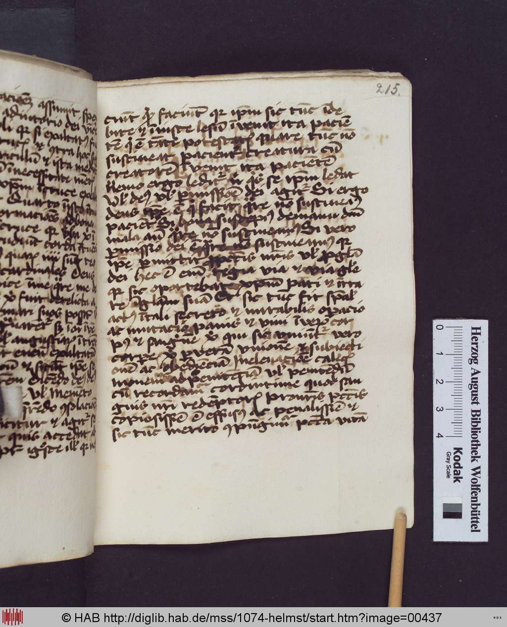 http://diglib.hab.de/mss/1074-helmst/00437.jpg