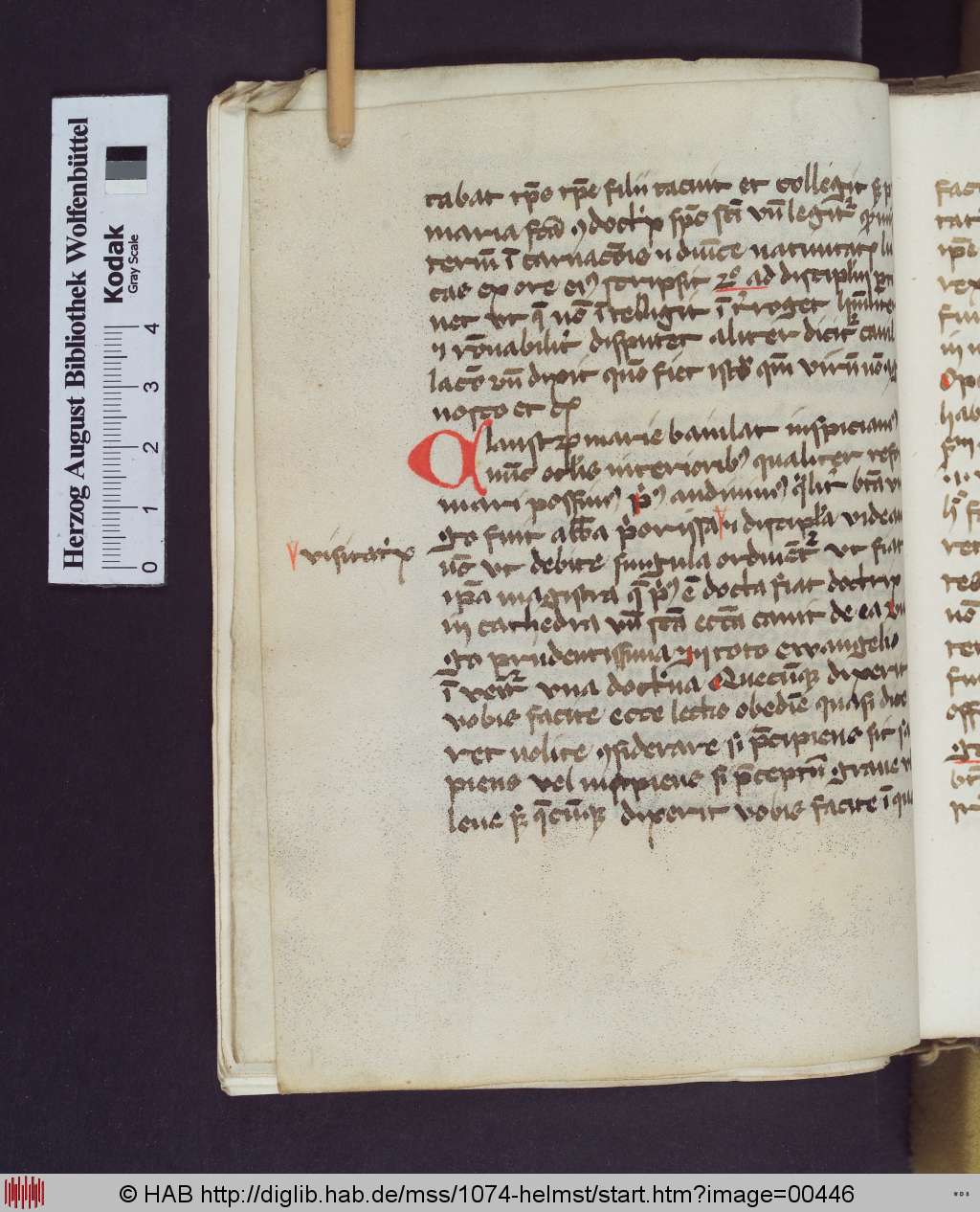 http://diglib.hab.de/mss/1074-helmst/00446.jpg