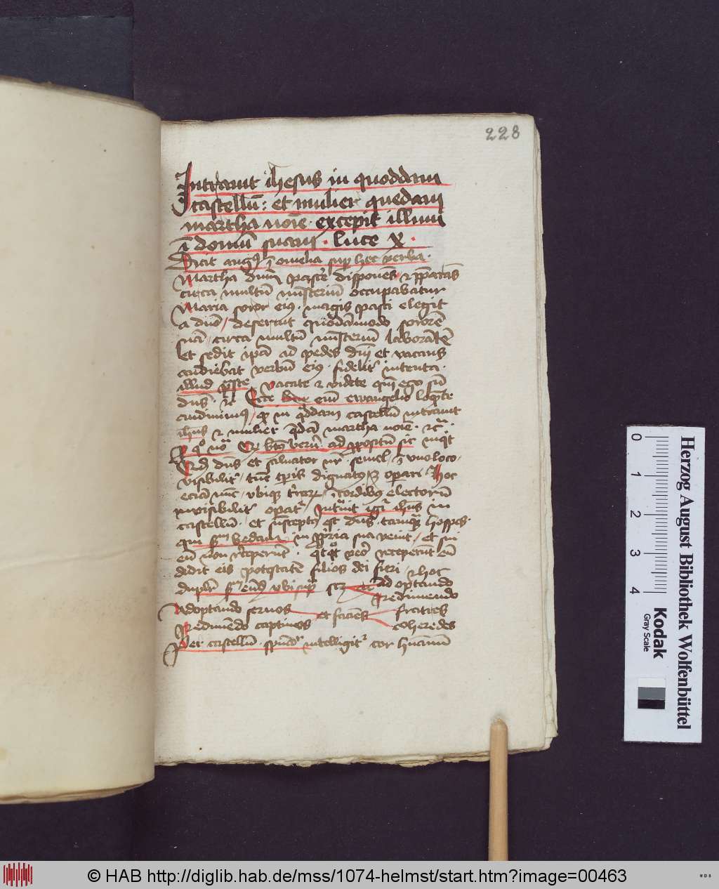 http://diglib.hab.de/mss/1074-helmst/00463.jpg
