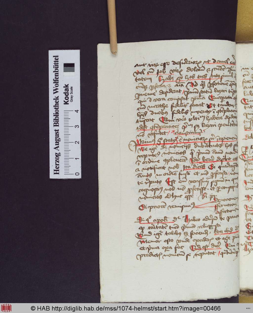 http://diglib.hab.de/mss/1074-helmst/00466.jpg