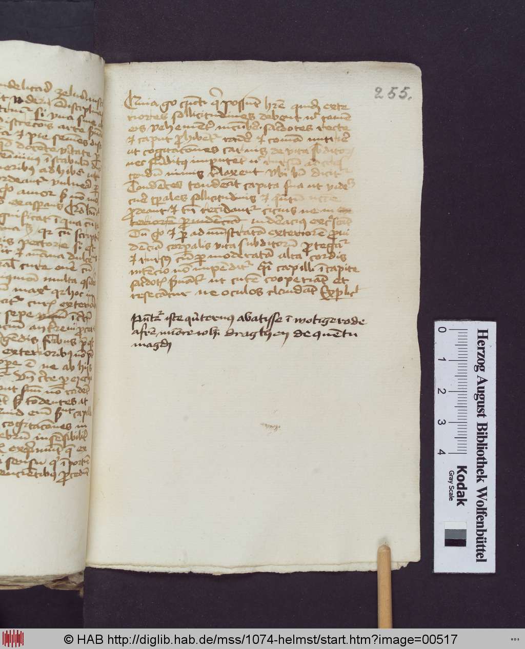 http://diglib.hab.de/mss/1074-helmst/00517.jpg