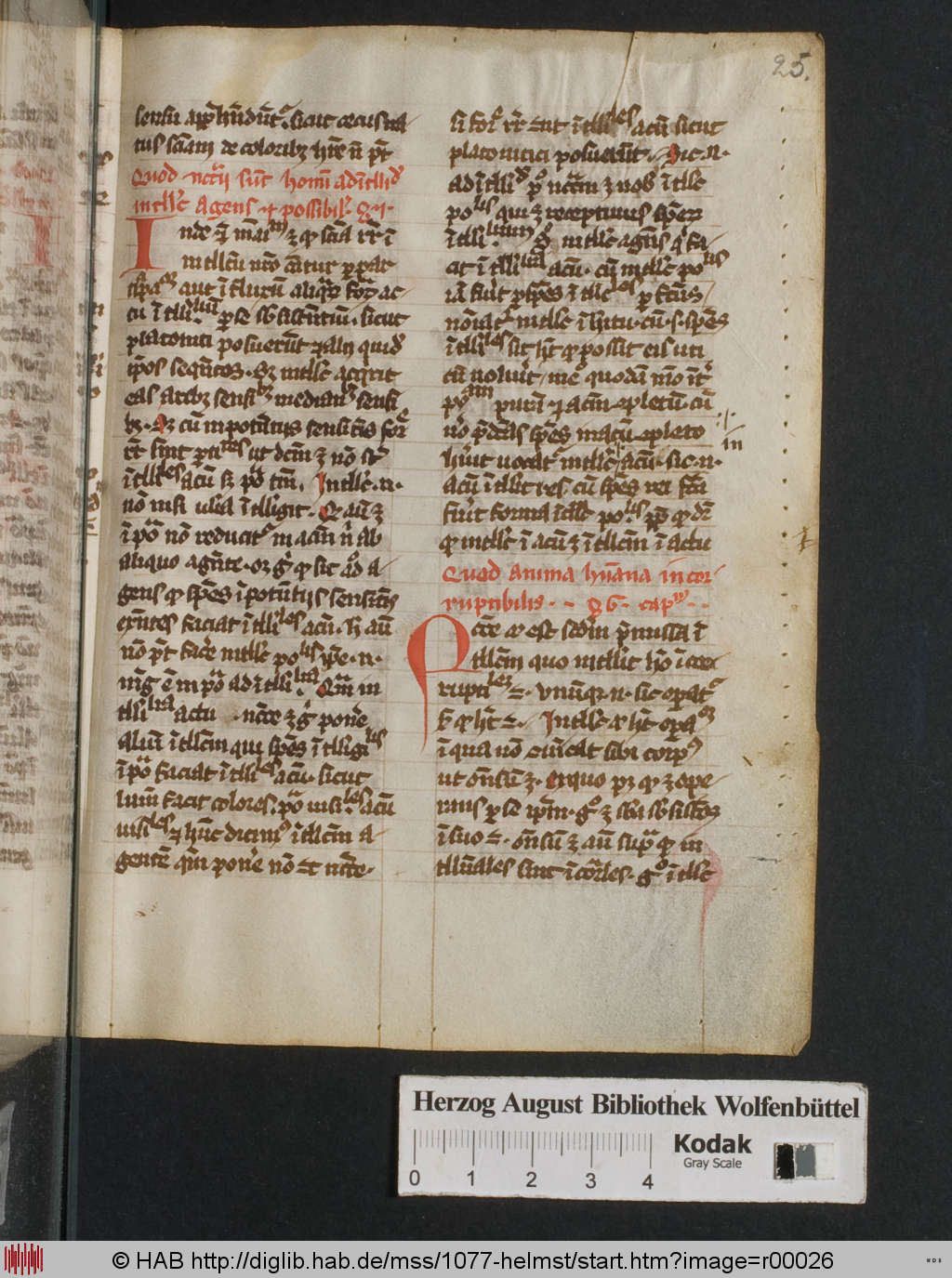 http://diglib.hab.de/mss/1077-helmst/r00026.jpg