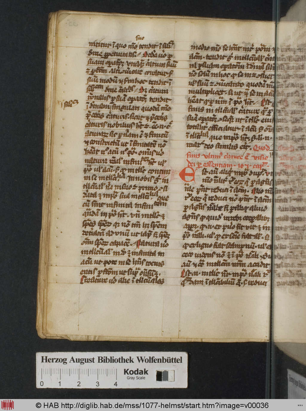 http://diglib.hab.de/mss/1077-helmst/v00036.jpg