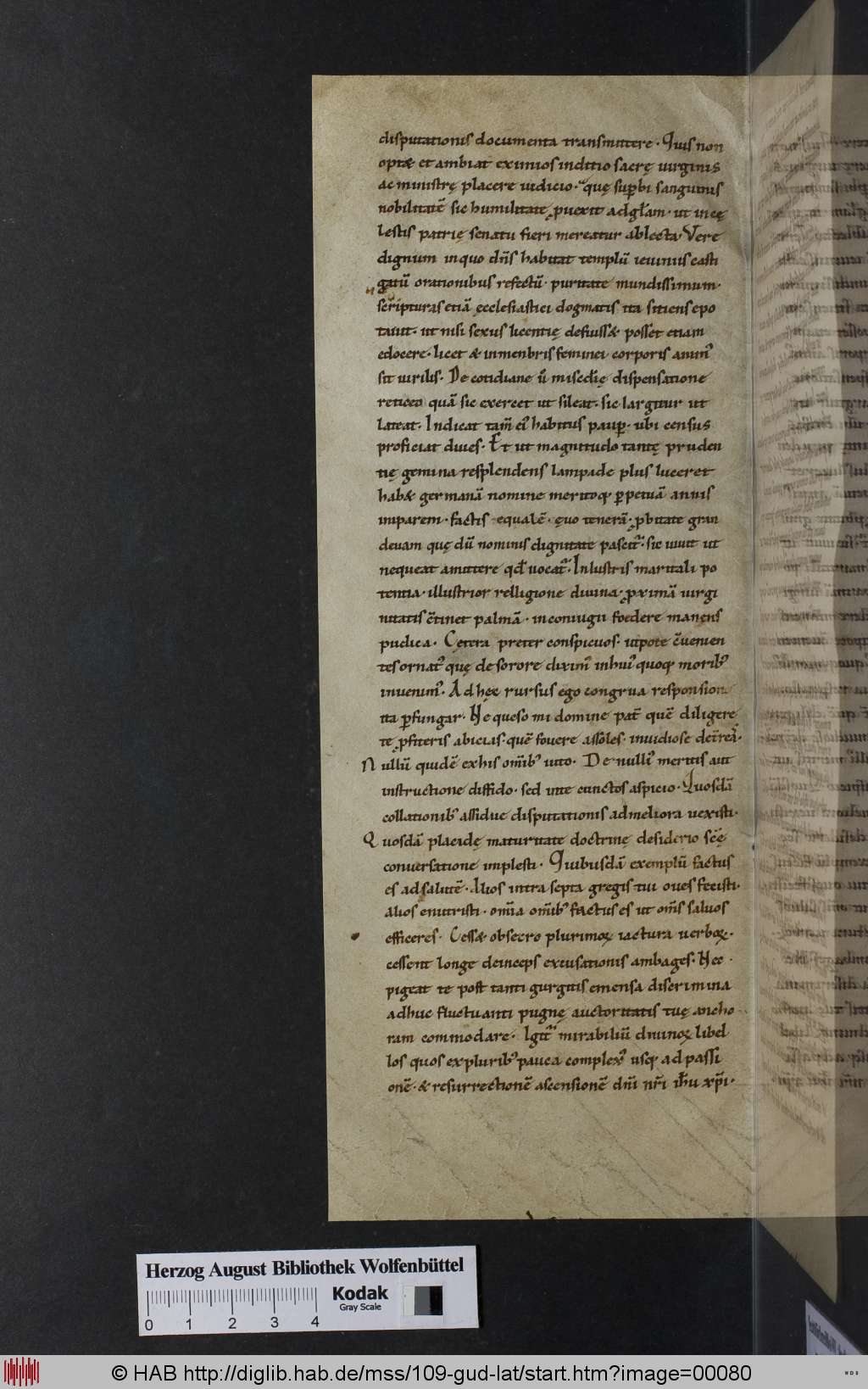http://diglib.hab.de/mss/109-gud-lat/00080.jpg