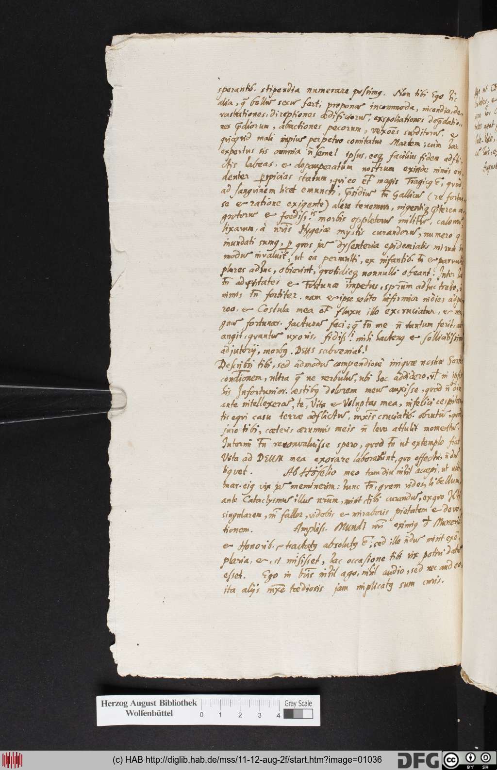http://diglib.hab.de/mss/11-12-aug-2f/01036.jpg