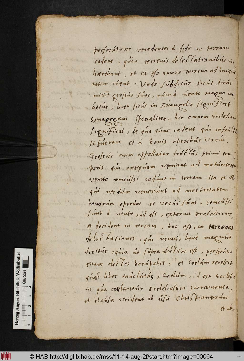 http://diglib.hab.de/mss/11-14-aug-2f/00064.jpg