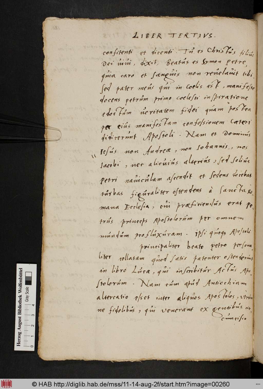 http://diglib.hab.de/mss/11-14-aug-2f/00260.jpg