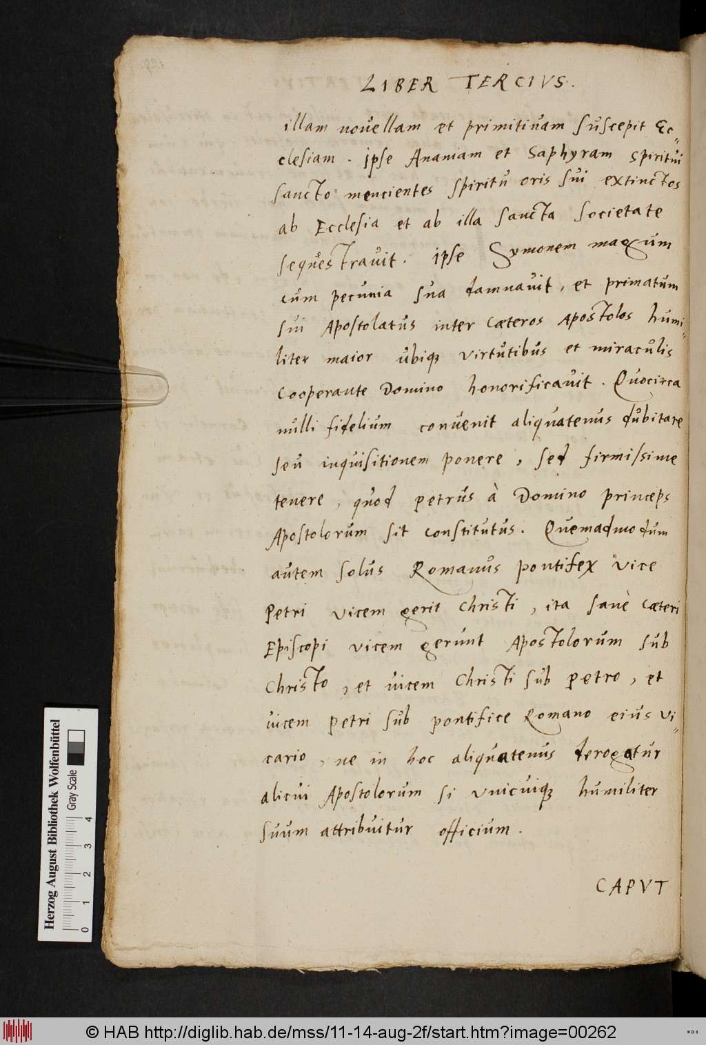 http://diglib.hab.de/mss/11-14-aug-2f/00262.jpg