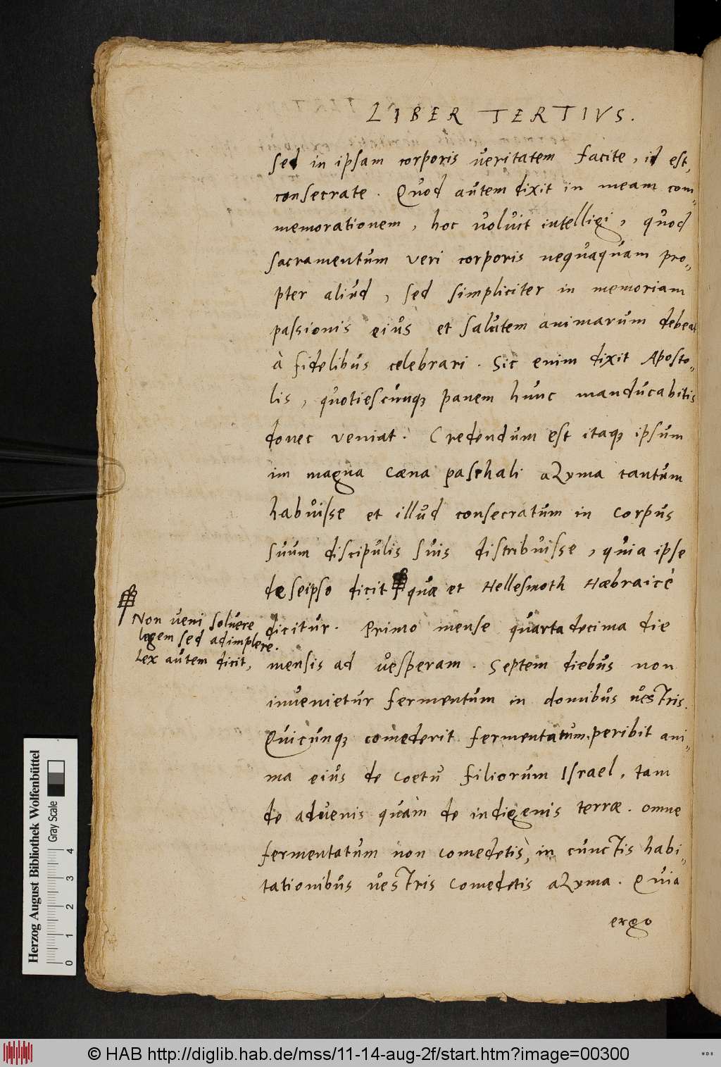 http://diglib.hab.de/mss/11-14-aug-2f/00300.jpg