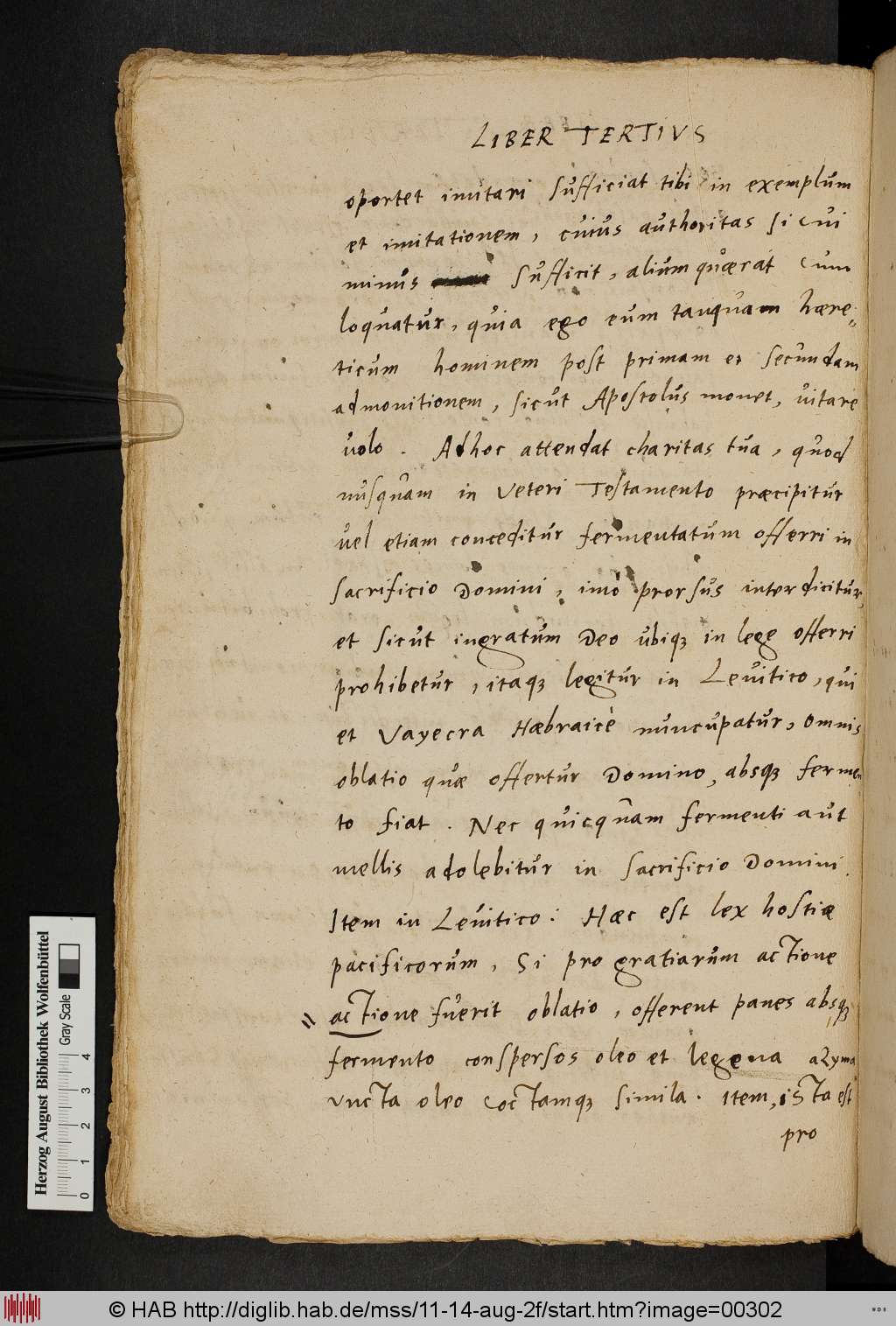http://diglib.hab.de/mss/11-14-aug-2f/00302.jpg