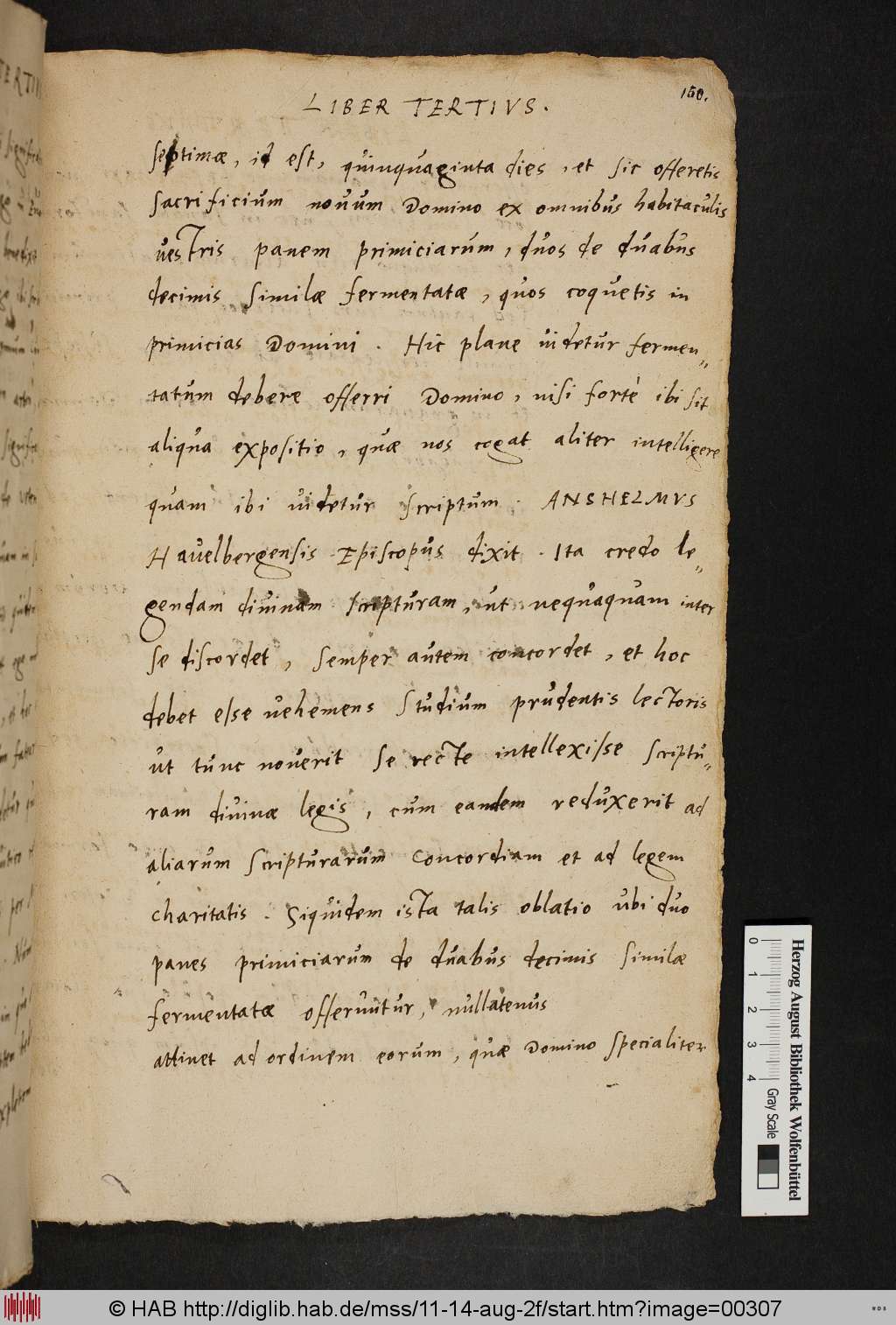 http://diglib.hab.de/mss/11-14-aug-2f/00307.jpg