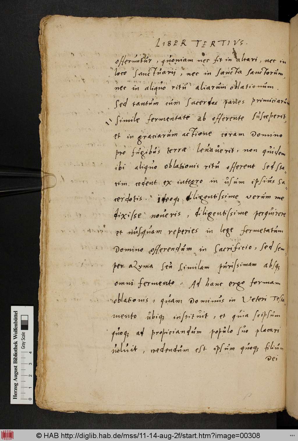 http://diglib.hab.de/mss/11-14-aug-2f/00308.jpg