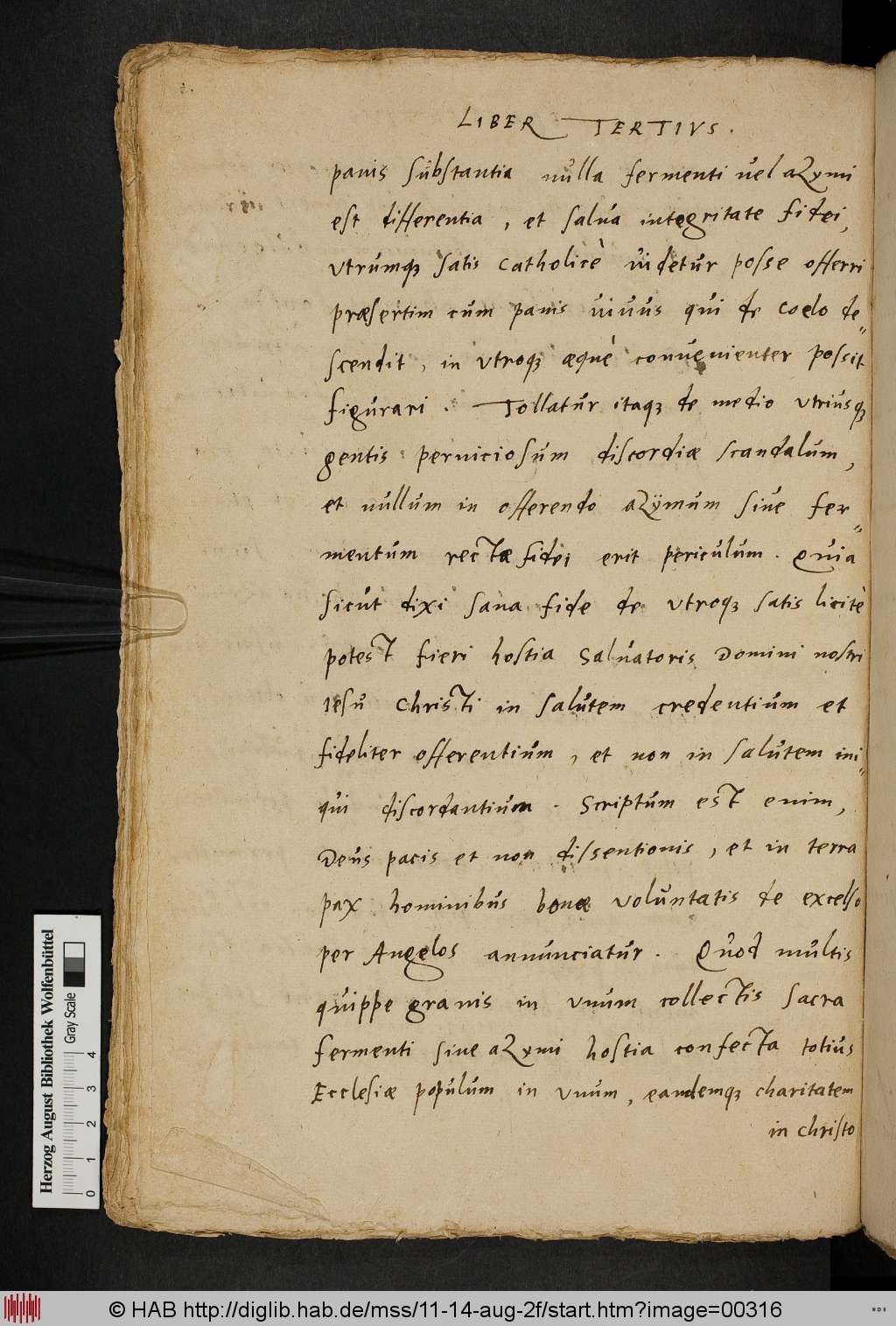 http://diglib.hab.de/mss/11-14-aug-2f/00316.jpg