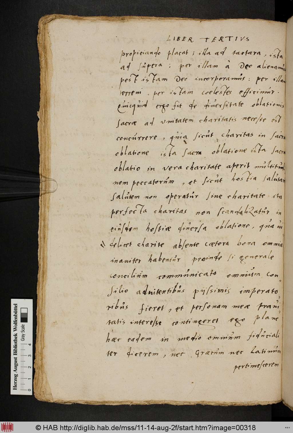 http://diglib.hab.de/mss/11-14-aug-2f/00318.jpg