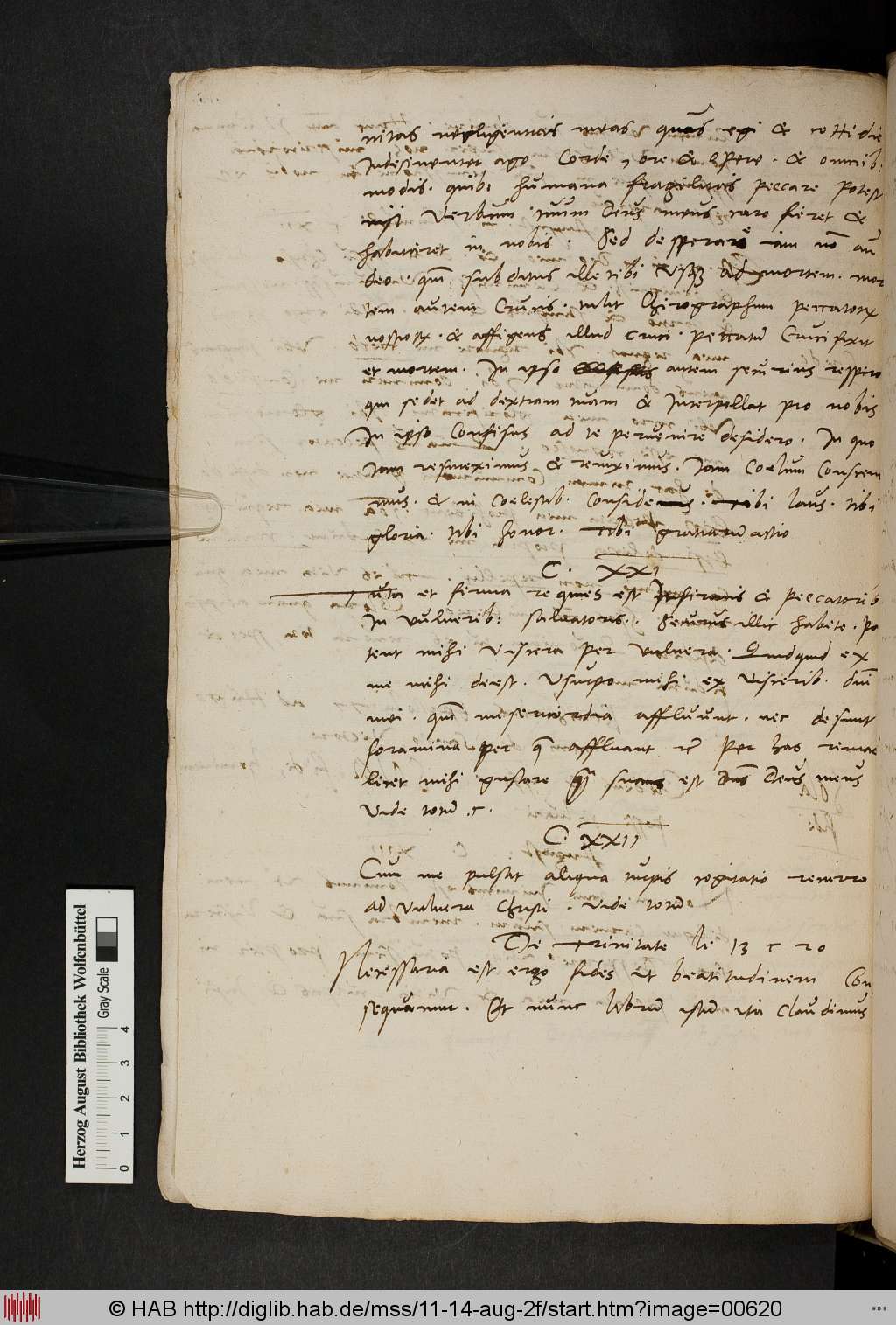 http://diglib.hab.de/mss/11-14-aug-2f/00620.jpg