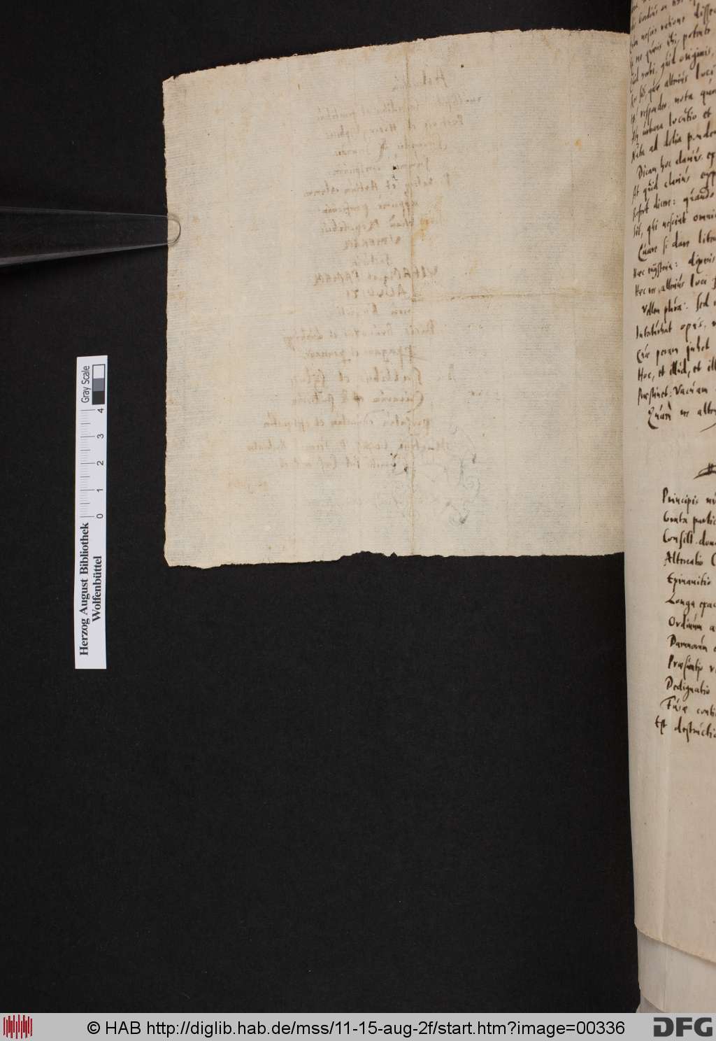 http://diglib.hab.de/mss/11-15-aug-2f/00336.jpg