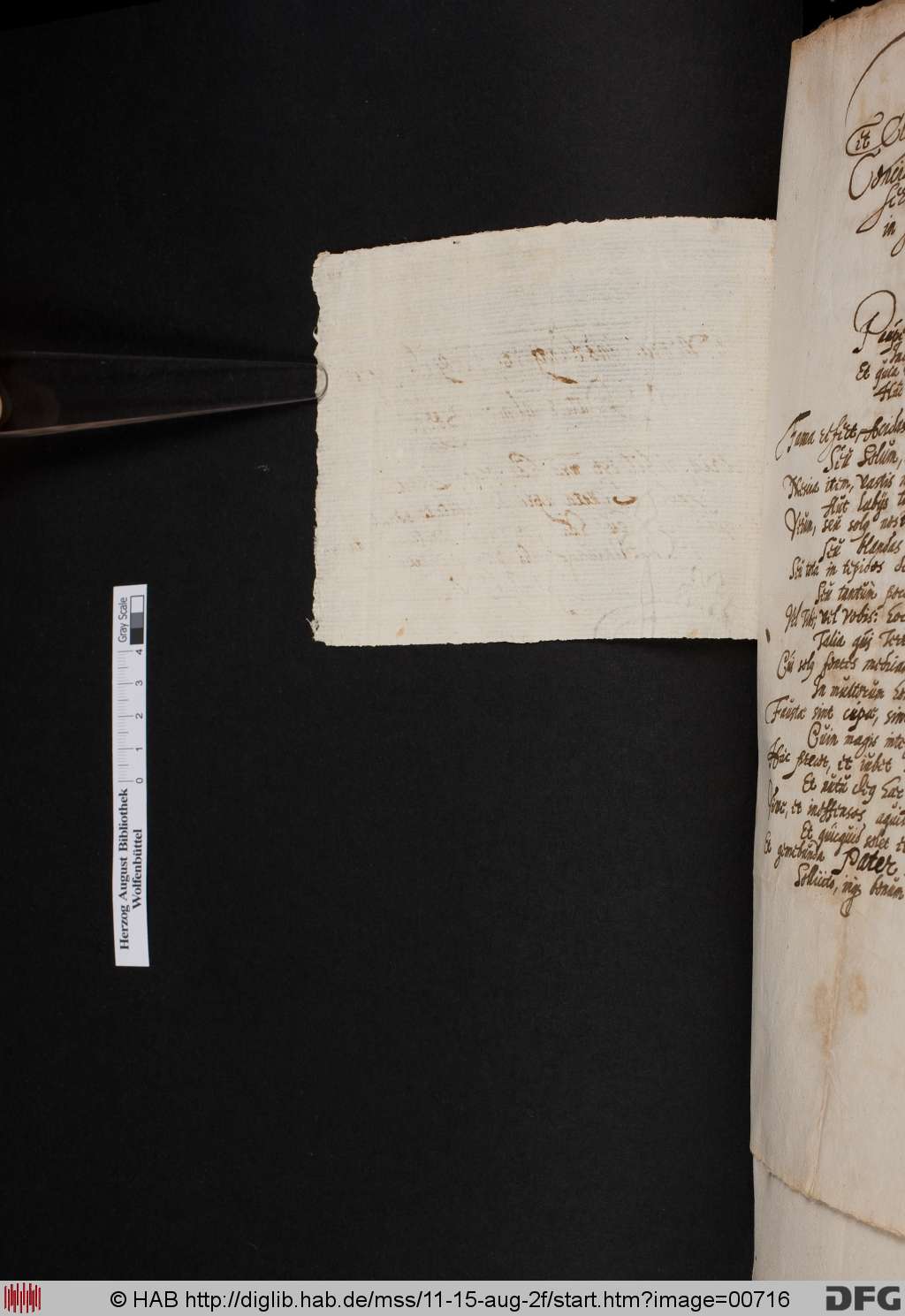 http://diglib.hab.de/mss/11-15-aug-2f/00716.jpg