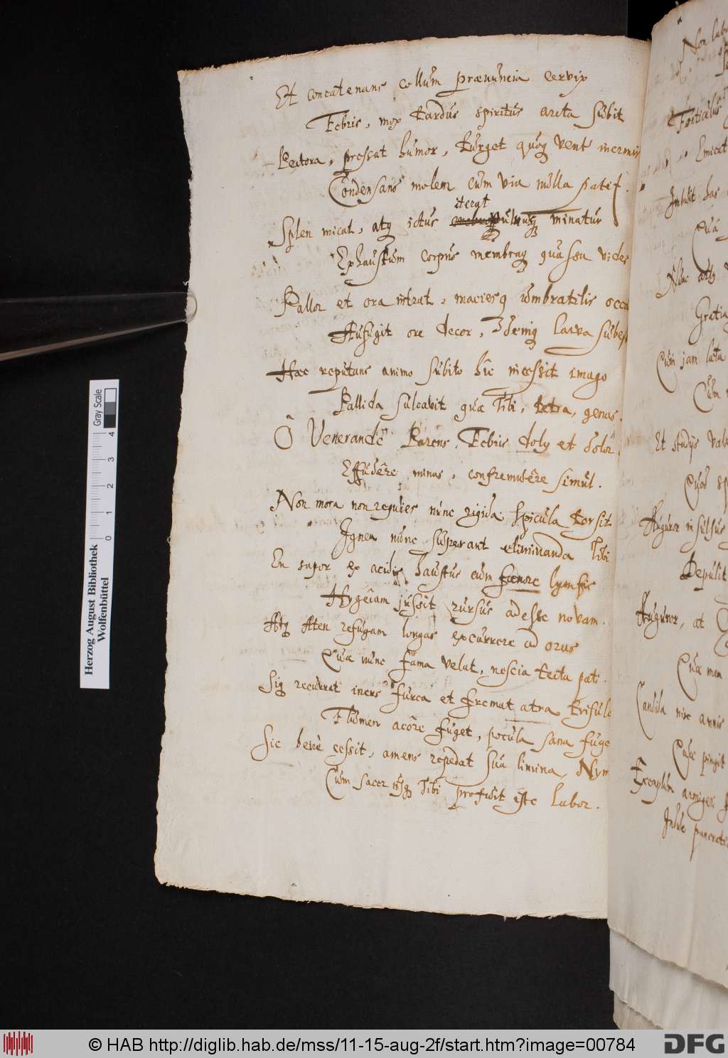 http://diglib.hab.de/mss/11-15-aug-2f/00784.jpg