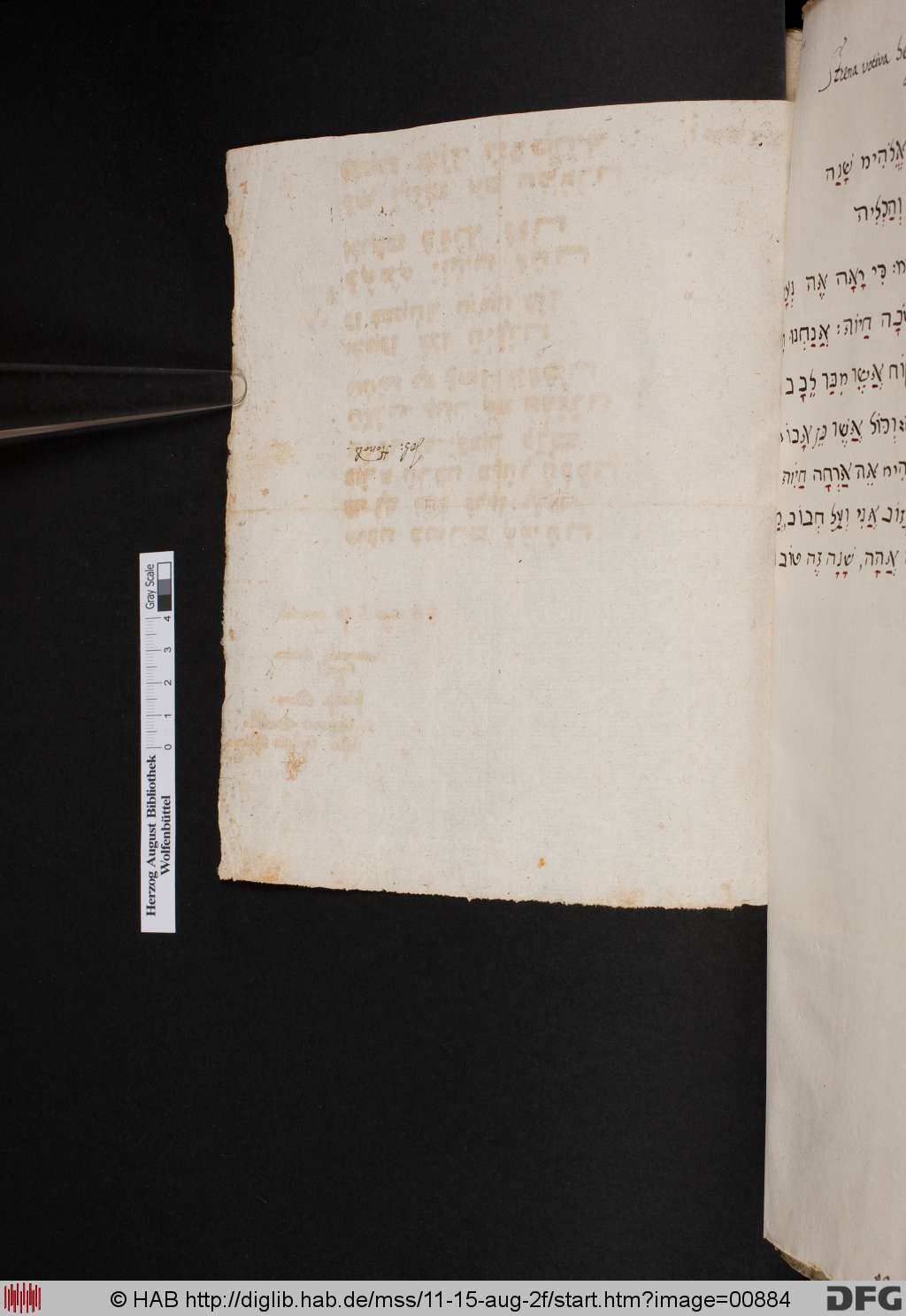 http://diglib.hab.de/mss/11-15-aug-2f/00884.jpg