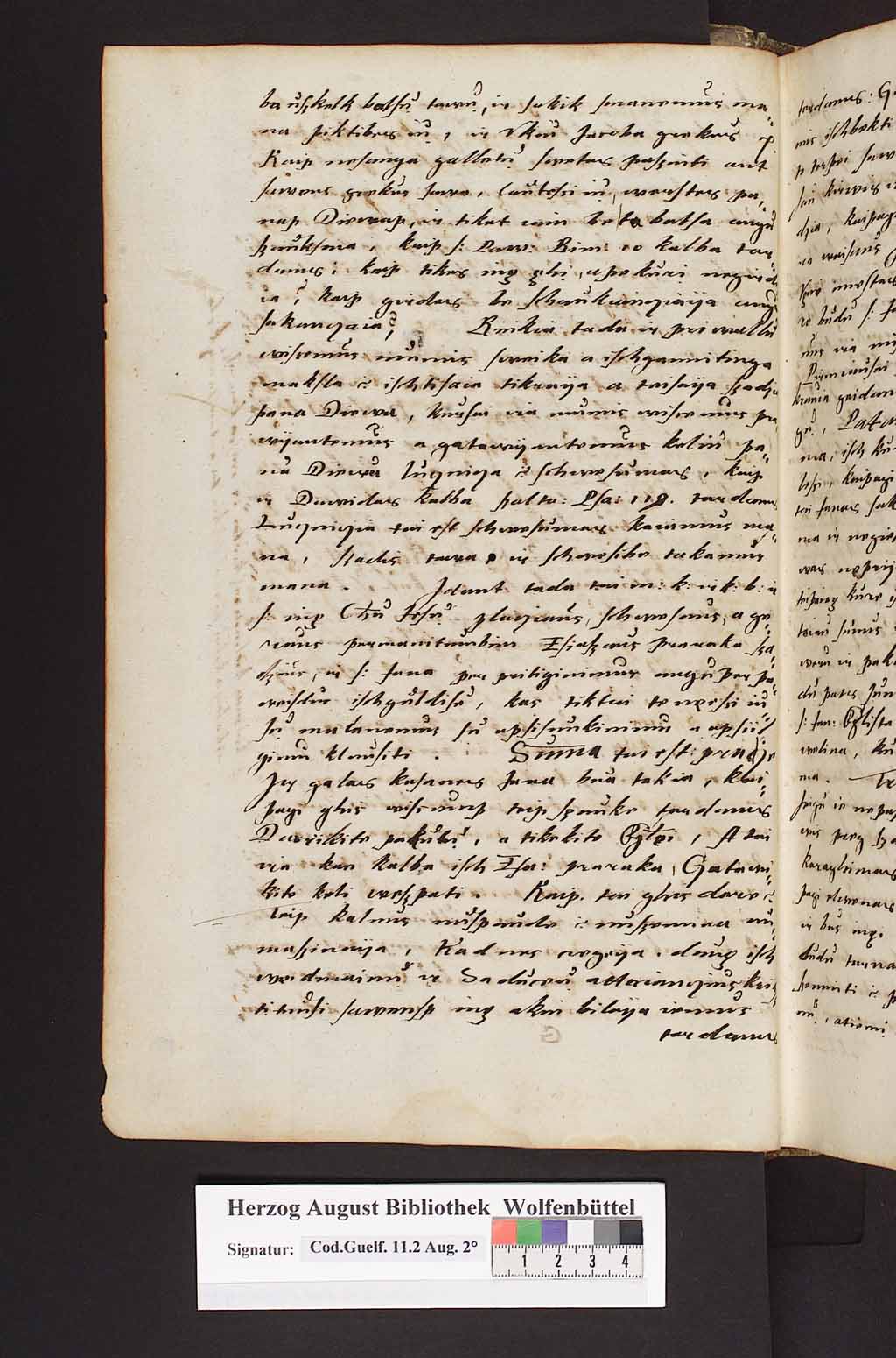 http://diglib.hab.de/mss/11-2-aug-2f/00049.jpg