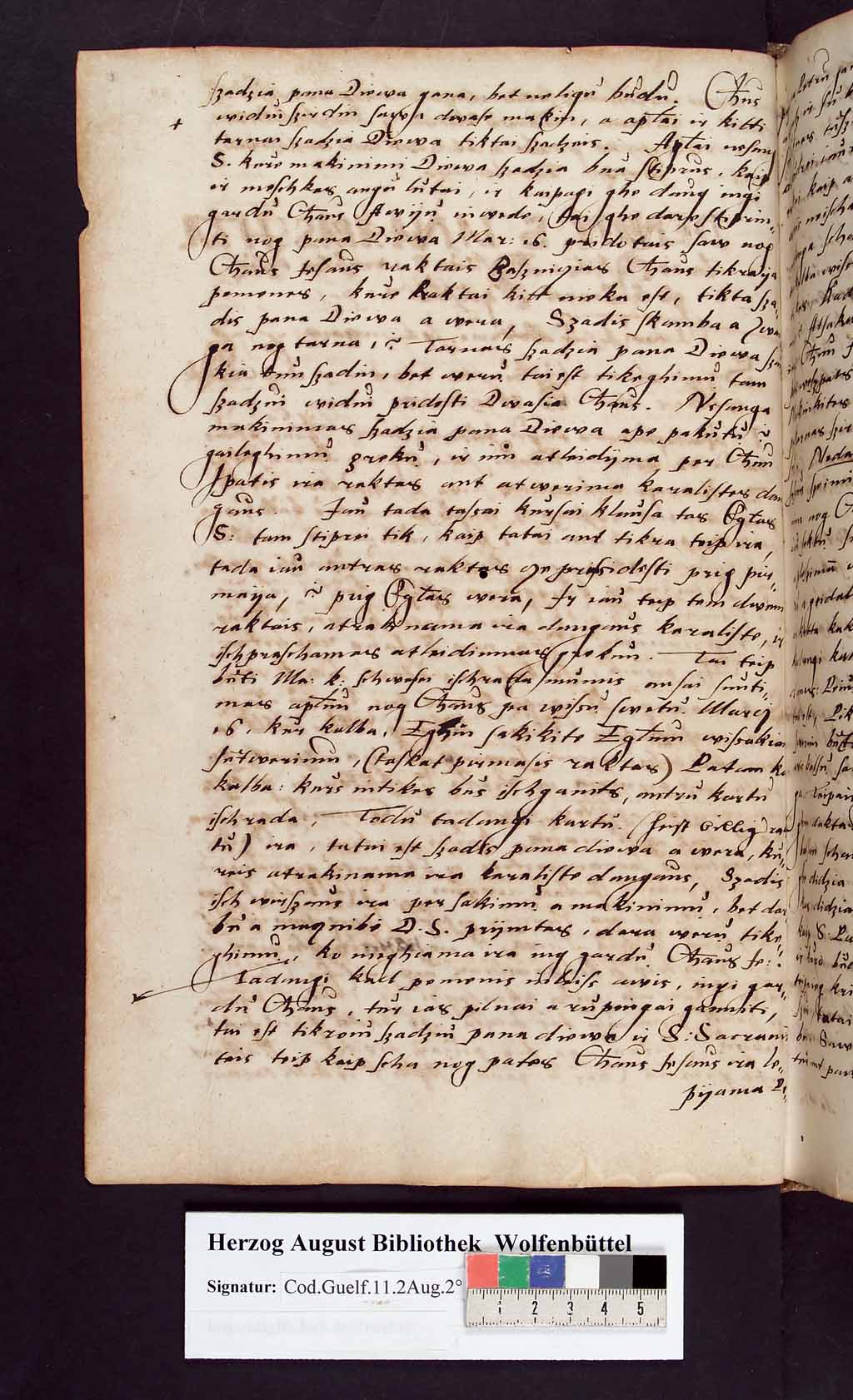 http://diglib.hab.de/mss/11-2-aug-2f/00083.jpg