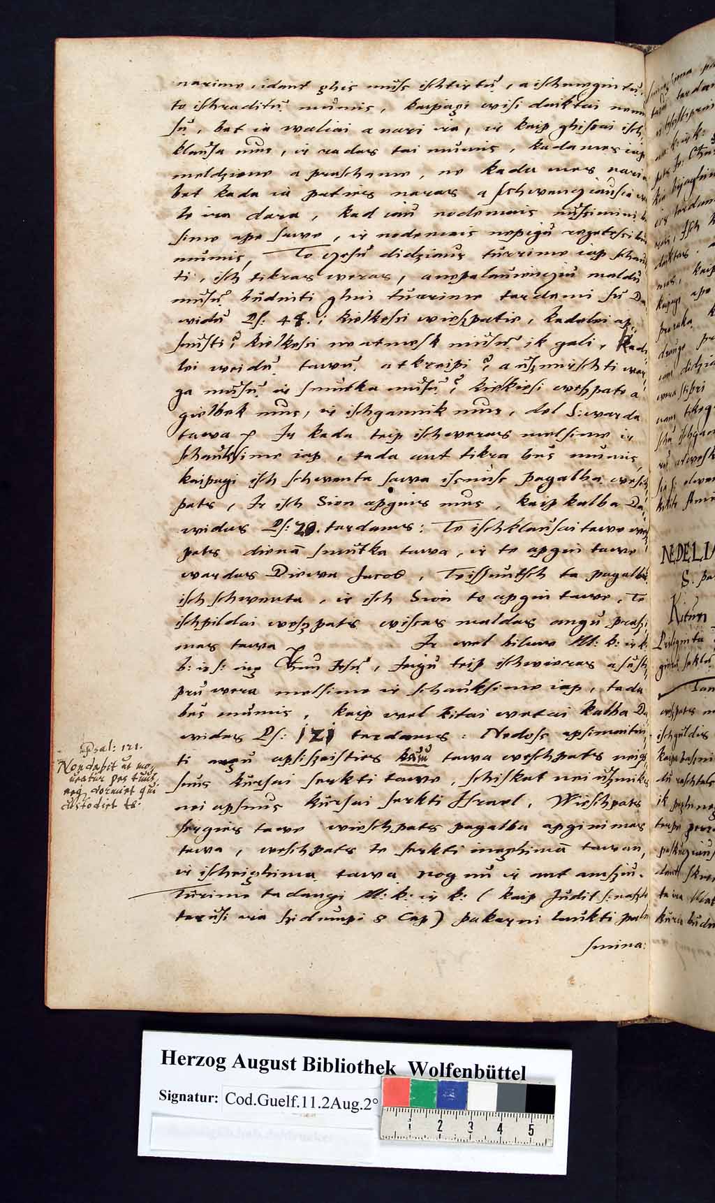 http://diglib.hab.de/mss/11-2-aug-2f/00157.jpg