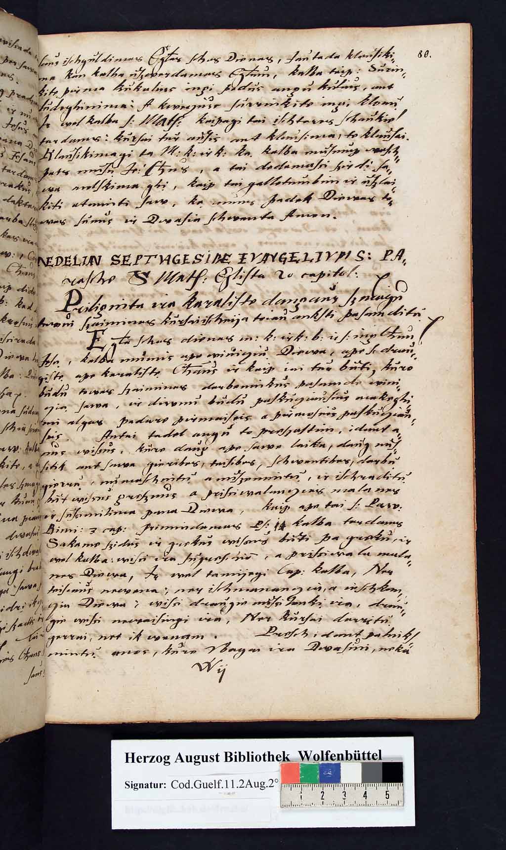 http://diglib.hab.de/mss/11-2-aug-2f/00164.jpg