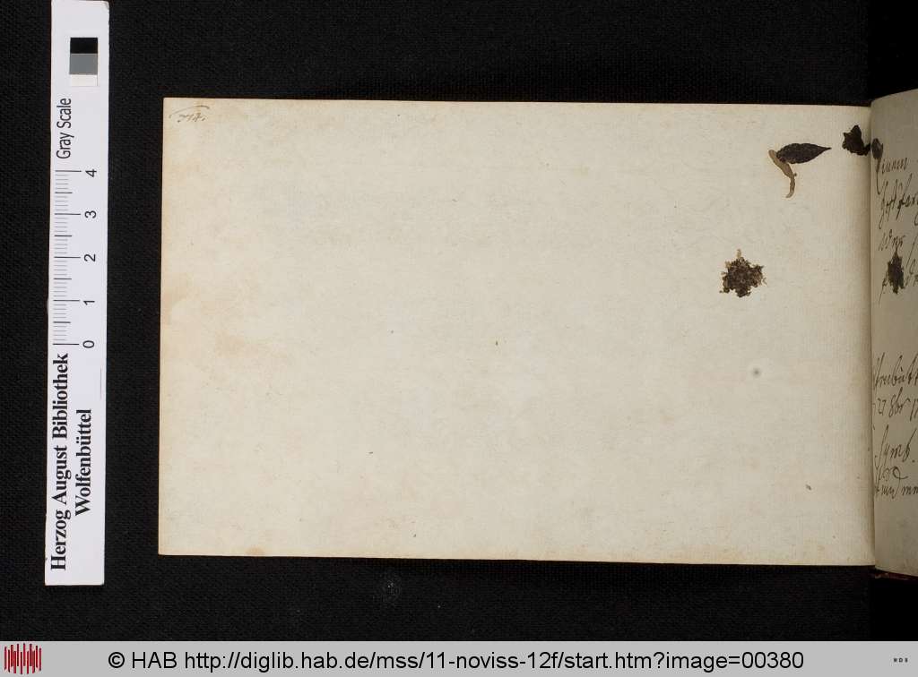 http://diglib.hab.de/mss/11-noviss-12f/00380.jpg