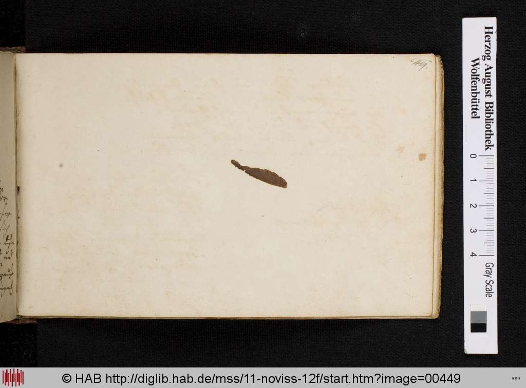 http://diglib.hab.de/mss/11-noviss-12f/00449.jpg