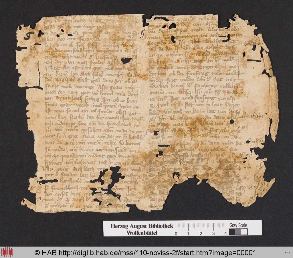 http://diglib.hab.de/mss/110-noviss-2f/00001.jpg