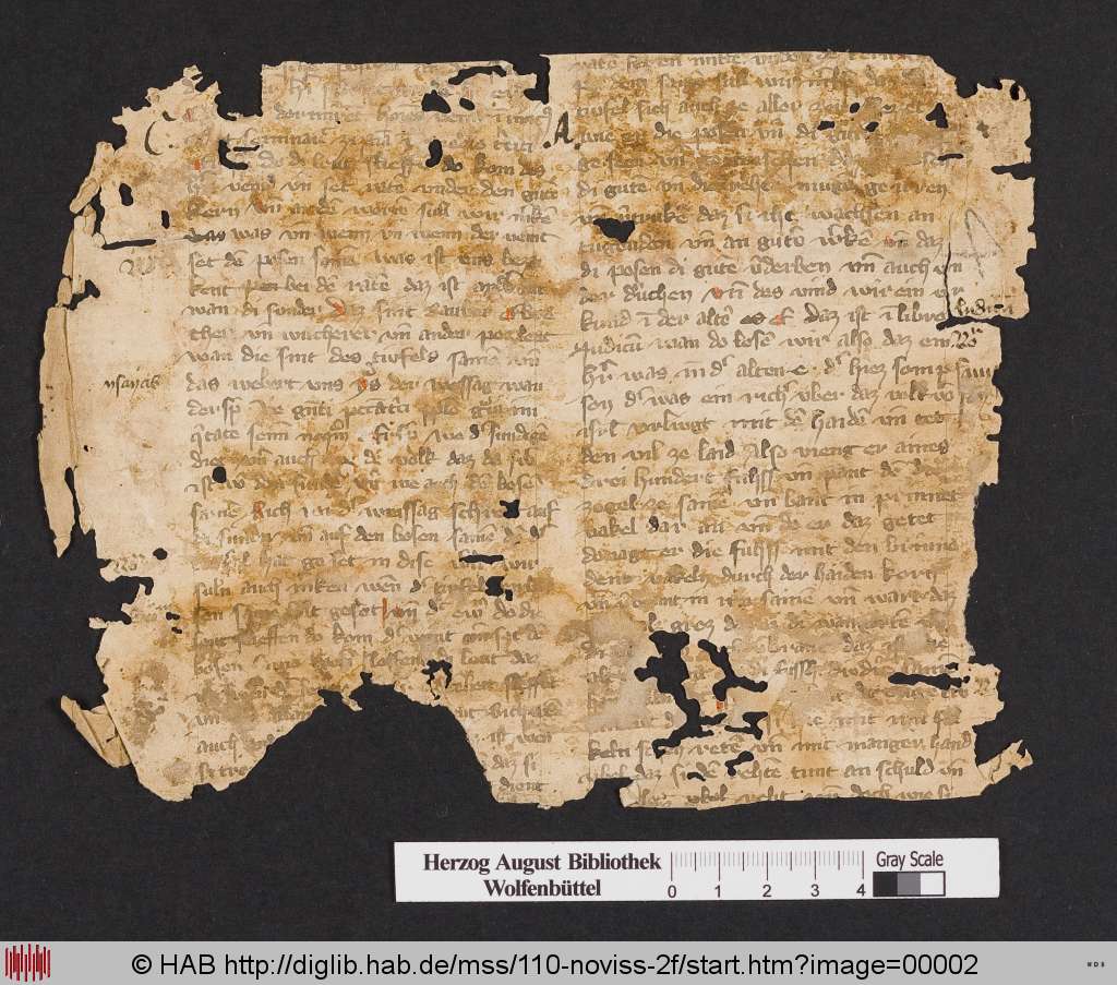http://diglib.hab.de/mss/110-noviss-2f/00002.jpg