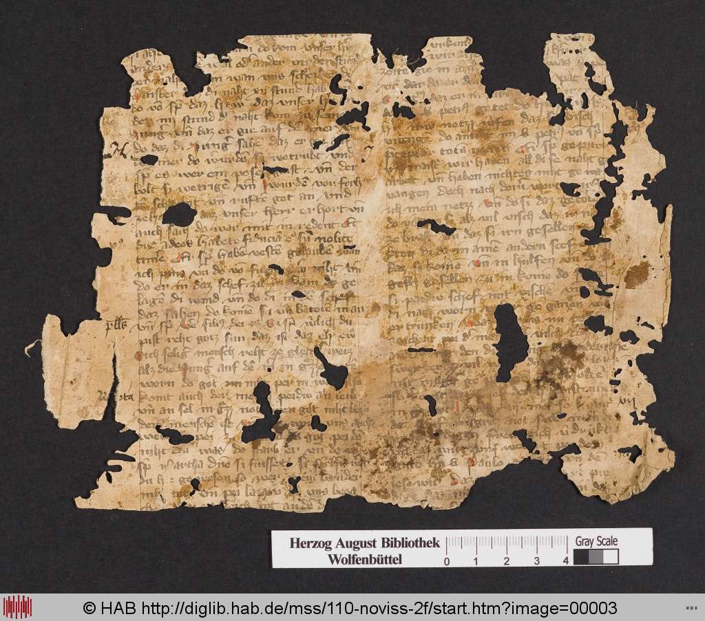http://diglib.hab.de/mss/110-noviss-2f/00003.jpg