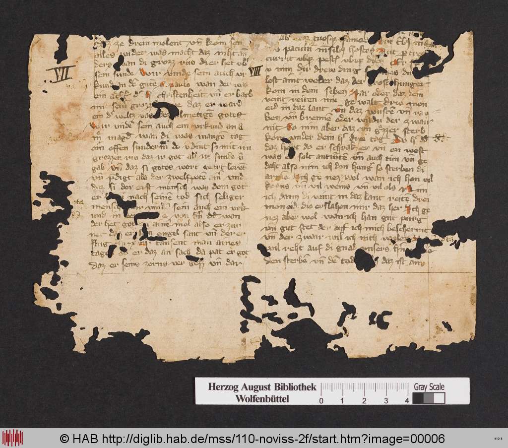http://diglib.hab.de/mss/110-noviss-2f/00006.jpg